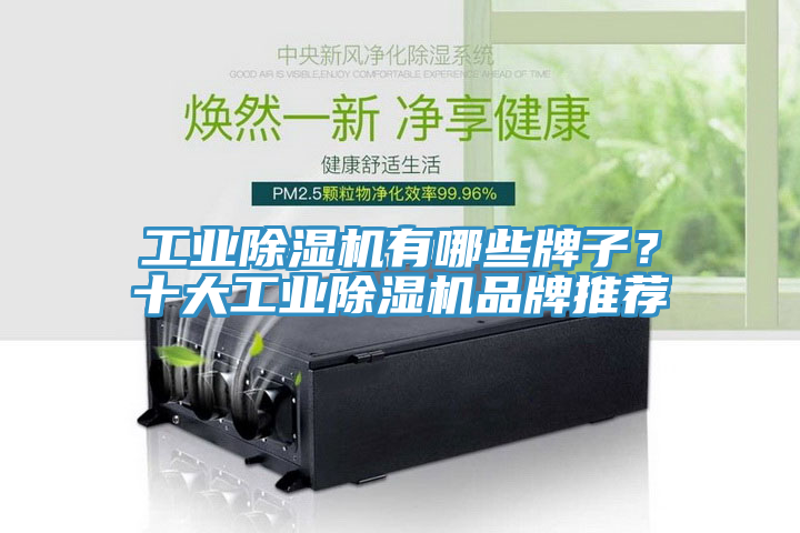 工業(yè)除濕機有哪些牌子？十大工業(yè)除濕機品牌推薦