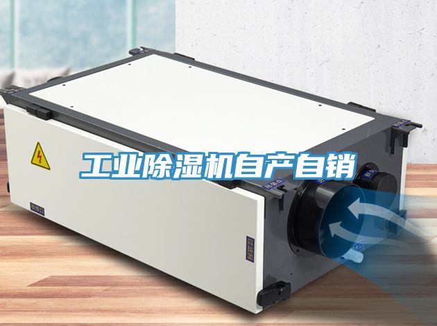 工業(yè)除濕機自產自銷