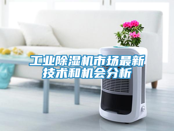 工業(yè)除濕機(jī)市場最新技術(shù)和機(jī)會分析