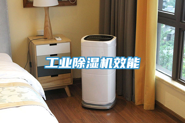 工業(yè)除濕機(jī)效能