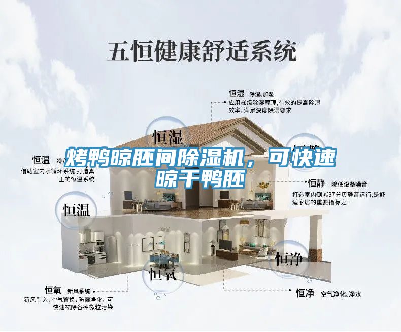 烤鴨晾胚間除濕機(jī)，可快速晾干鴨胚