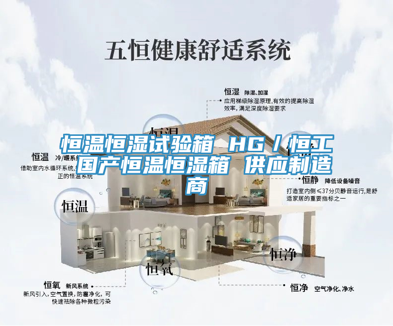 恒溫恒濕試驗箱 HG／恒工 國產(chǎn)恒溫恒濕箱 供應(yīng)制造商