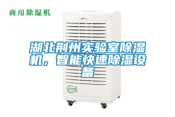 湖北荊州實驗室除濕機，智能快速除濕設備