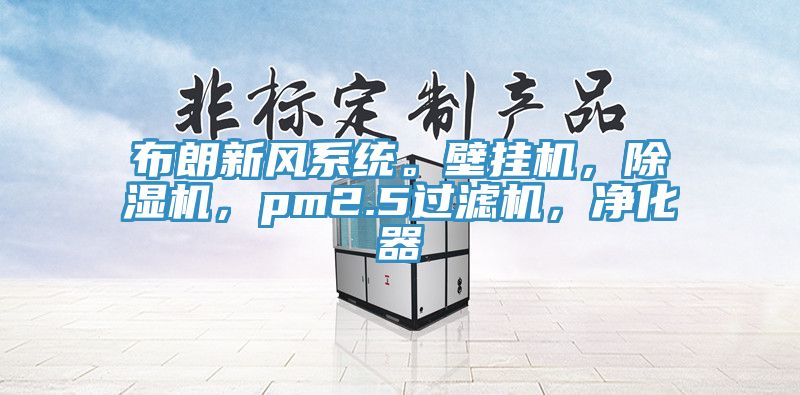 布朗新風(fēng)系統(tǒng)。壁掛機，除濕機，pm2.5過濾機，凈化器