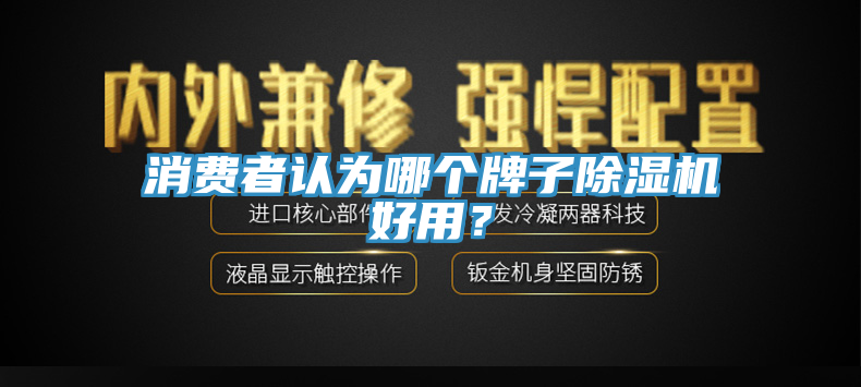 消費(fèi)者認(rèn)為哪個(gè)牌子除濕機(jī)好用？