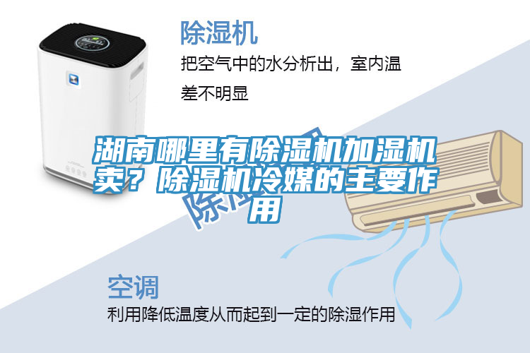湖南哪里有除濕機(jī)加濕機(jī)賣？除濕機(jī)冷媒的主要作用