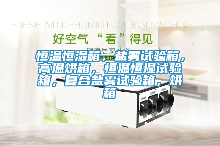 恒溫恒濕箱，鹽霧試驗(yàn)箱，高溫烘箱，恒溫恒濕試驗(yàn)箱，復(fù)合鹽霧試驗(yàn)箱，烘箱