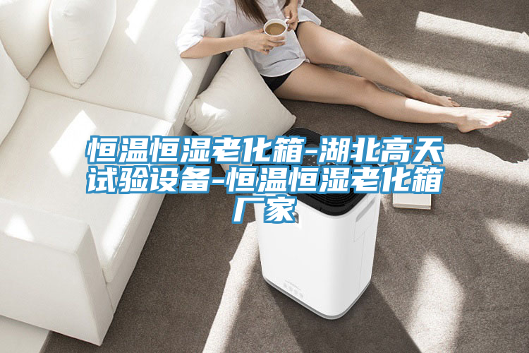 恒溫恒濕老化箱-湖北高天試驗設(shè)備-恒溫恒濕老化箱廠家