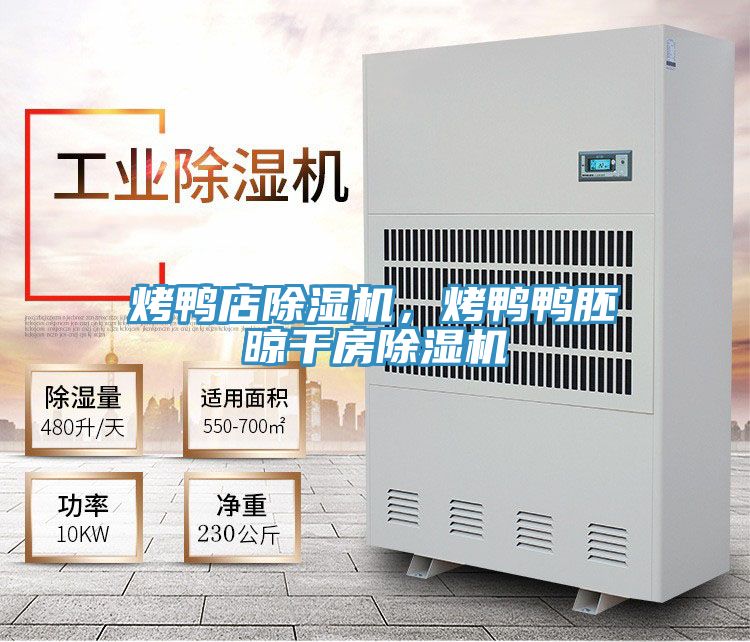 烤鴨店除濕機(jī)，烤鴨鴨胚晾干房除濕機(jī)