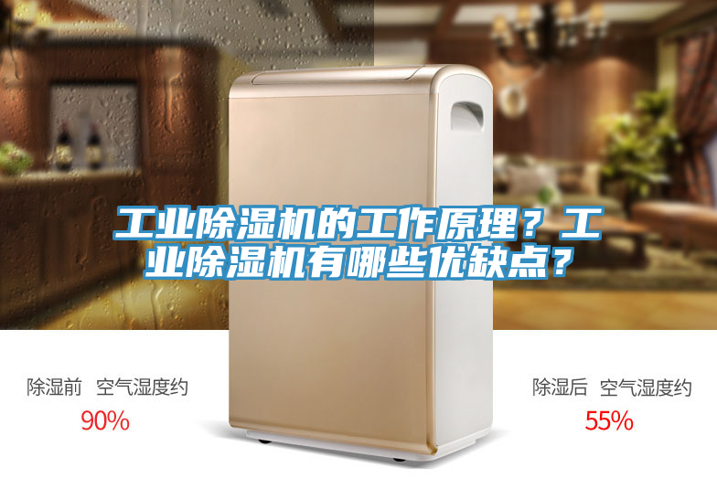 工業(yè)除濕機的工作原理？工業(yè)除濕機有哪些優(yōu)缺點？