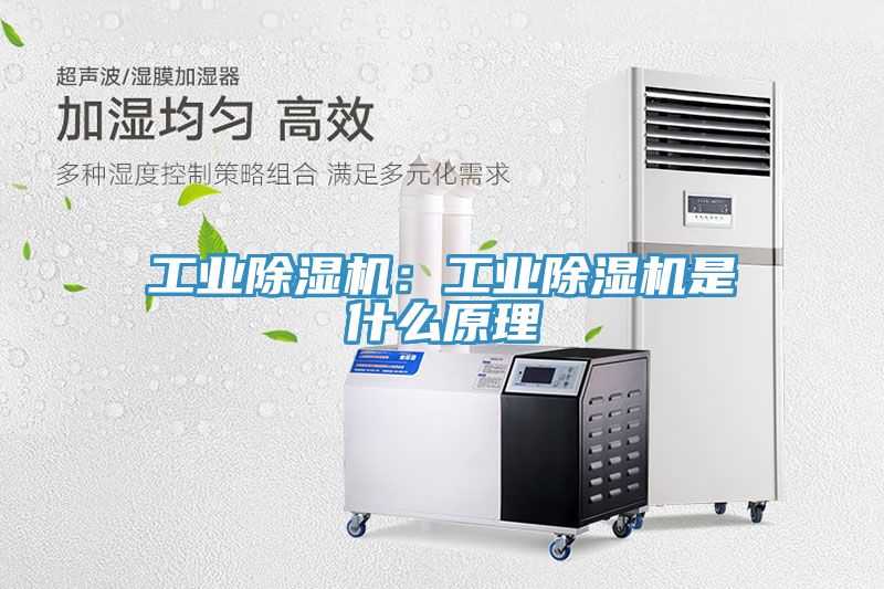 工業(yè)除濕機(jī)：工業(yè)除濕機(jī)是什么原理