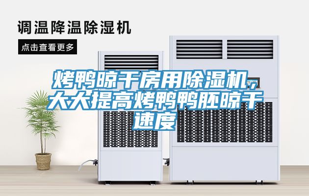 烤鴨晾干房用除濕機(jī)，大大提高烤鴨鴨胚晾干速度