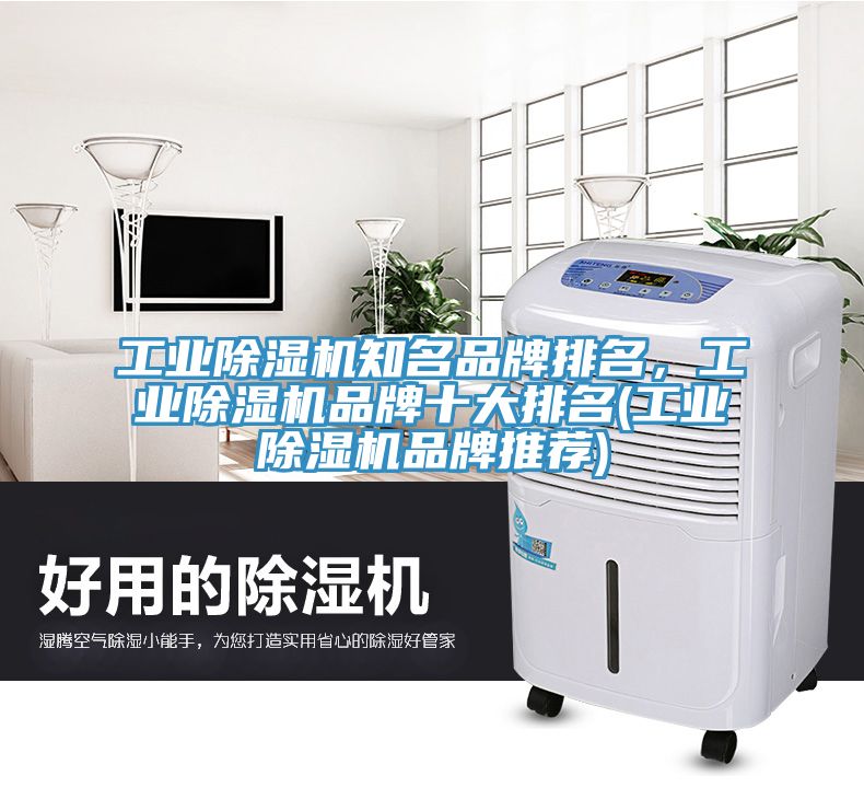 工業(yè)除濕機(jī)知名品牌排名，工業(yè)除濕機(jī)品牌十大排名(工業(yè)除濕機(jī)品牌推薦)