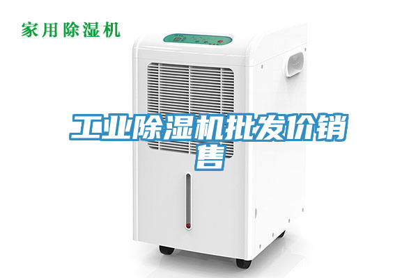 工業(yè)除濕機(jī)批發(fā)價(jià)銷售