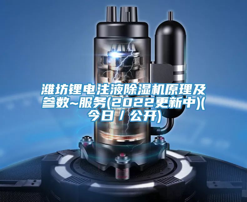 濰坊鋰電注液除濕機原理及參數(shù)~服務(wù)(2022更新中)(今日／公開)