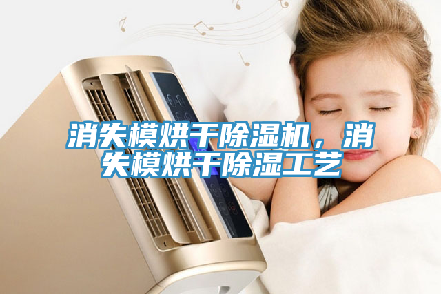 消失模烘干除濕機(jī)，消失模烘干除濕工藝
