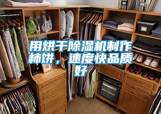 用烘干除濕機(jī)制作柿餅，速度快品質(zhì)好