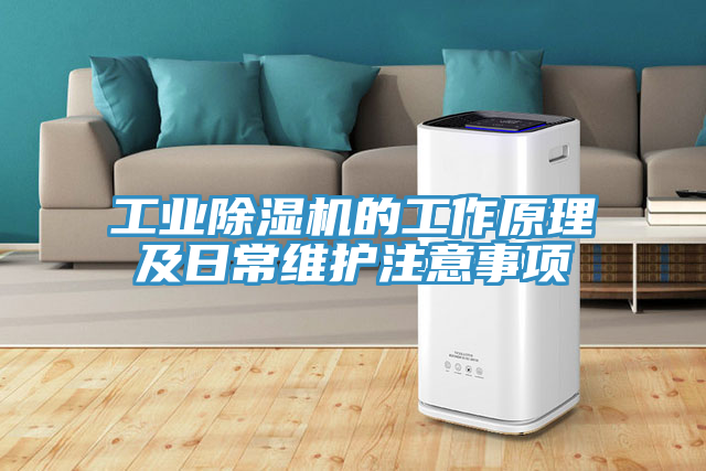 工業(yè)除濕機的工作原理及日常維護注意事項