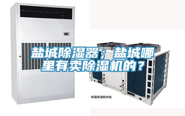 鹽城除濕器；鹽城哪里有賣除濕機的？