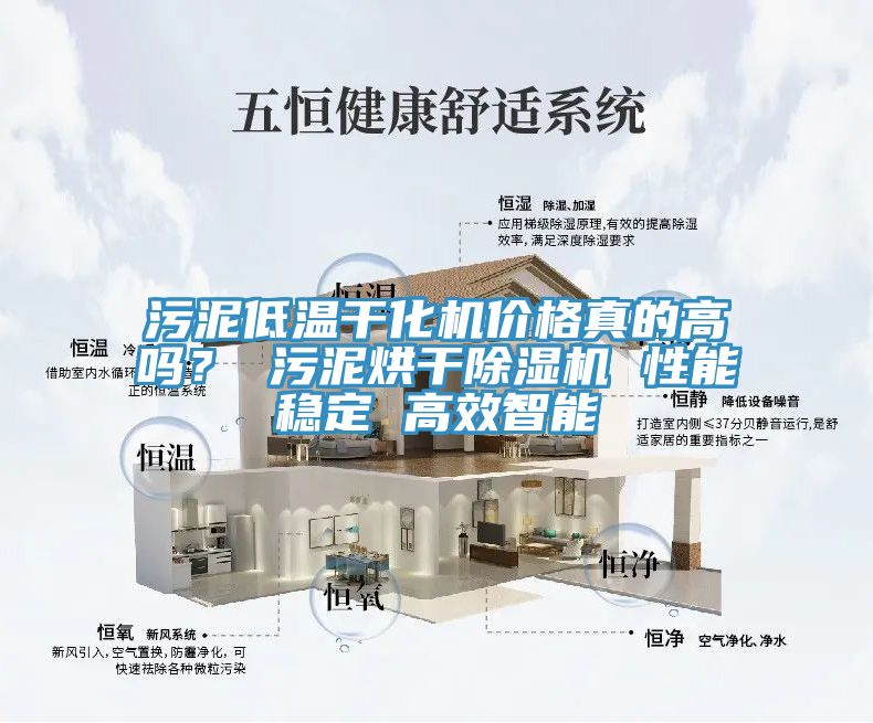 污泥低溫干化機(jī)價格真的高嗎？ 污泥烘干除濕機(jī) 性能穩(wěn)定 高效智能