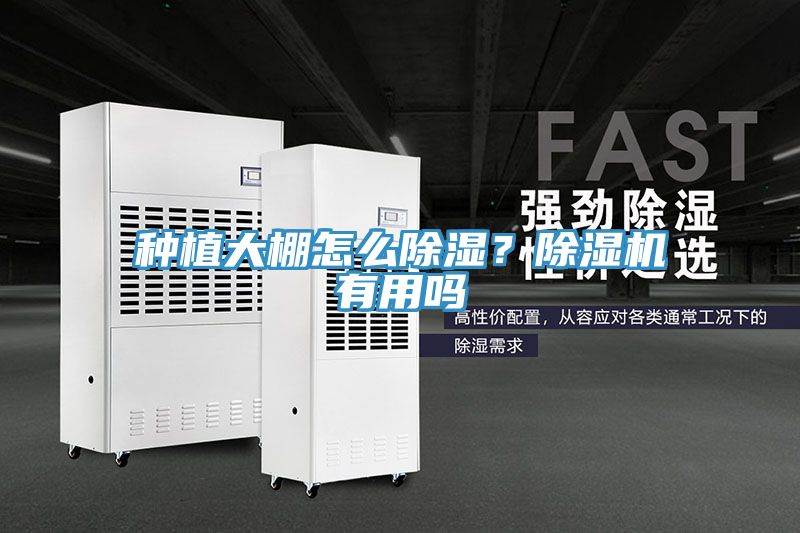 種植大棚怎么除濕？除濕機(jī)有用嗎