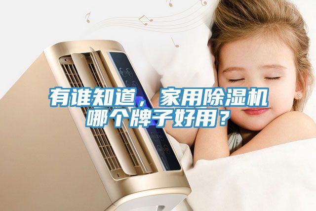 有誰知道，家用除濕機哪個牌子好用？