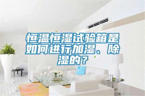 恒溫恒濕試驗箱是如何進(jìn)行加濕、除濕的？