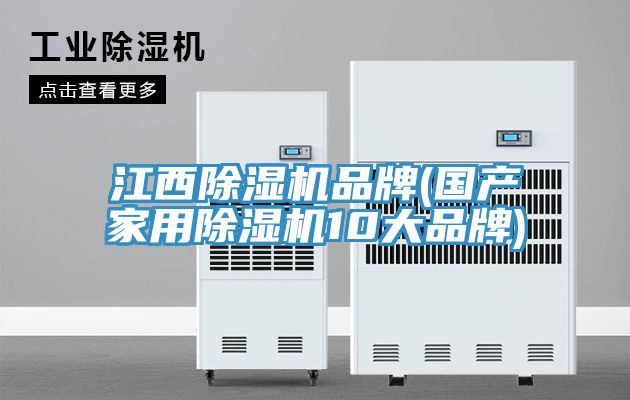 江西除濕機(jī)品牌(國產(chǎn)家用除濕機(jī)10大品牌)