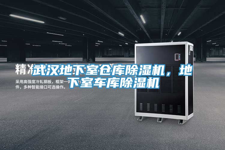 武漢地下室倉(cāng)庫(kù)除濕機(jī)，地下室車庫(kù)除濕機(jī)