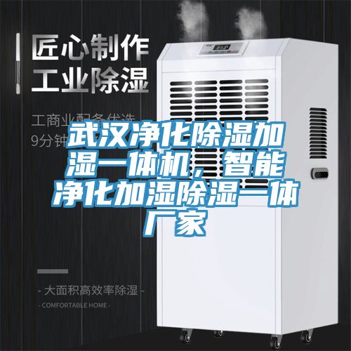 武漢凈化除濕加濕一體機(jī)，智能凈化加濕除濕一體廠家