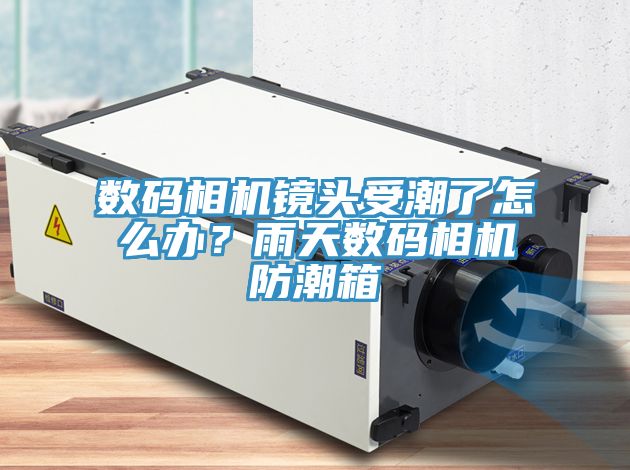 數(shù)碼相機(jī)鏡頭受潮了怎么辦？雨天數(shù)碼相機(jī)防潮箱