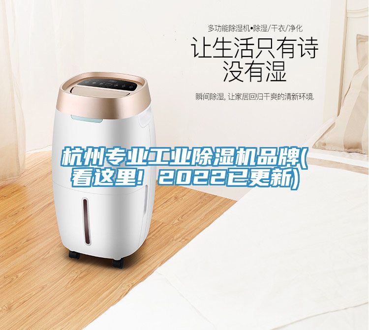 杭州專業(yè)工業(yè)除濕機(jī)品牌(看這里! 2022已更新)