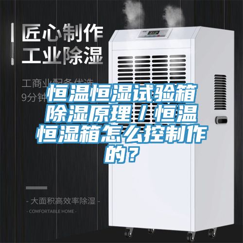 恒溫恒濕試驗(yàn)箱除濕原理／恒溫恒濕箱怎么控制作的？