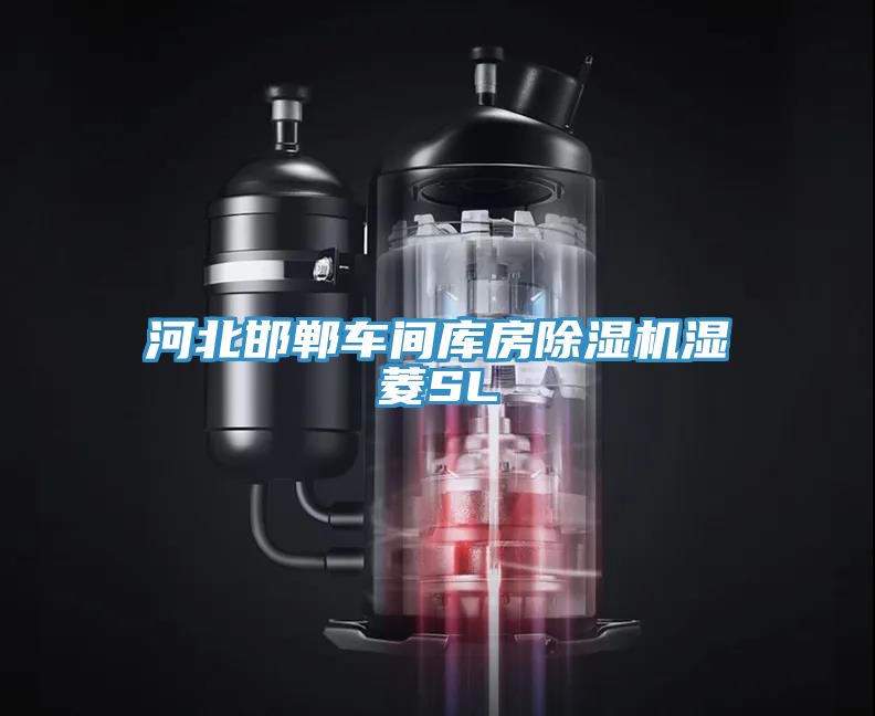 河北邯鄲車間庫(kù)房除濕機(jī)濕菱SL