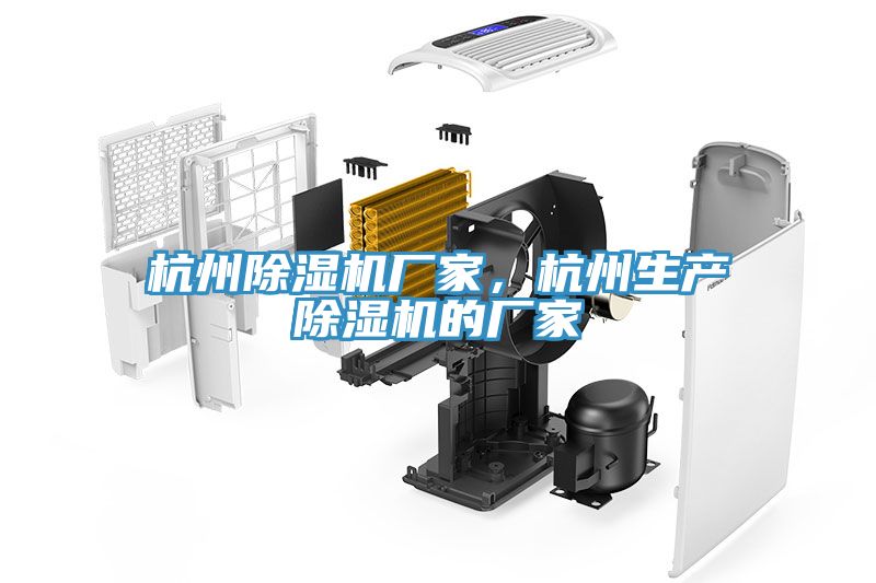 杭州除濕機廠家，杭州生產(chǎn)除濕機的廠家