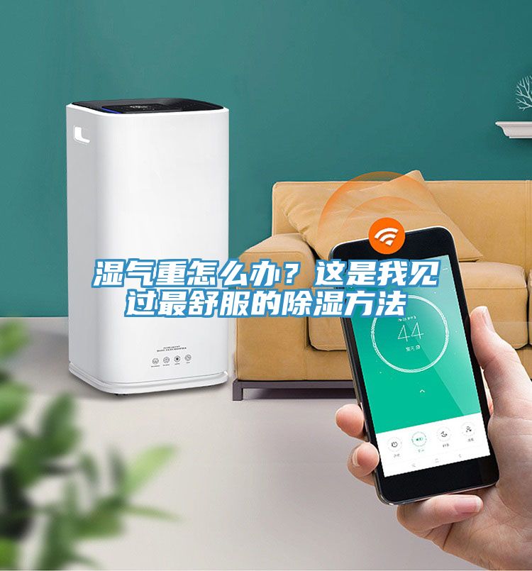 濕氣重怎么辦？這是我見過最舒服的除濕方法
