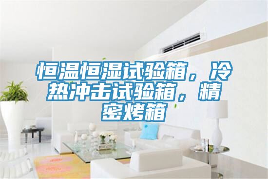 恒溫恒濕試驗箱，冷熱沖擊試驗箱，精密烤箱