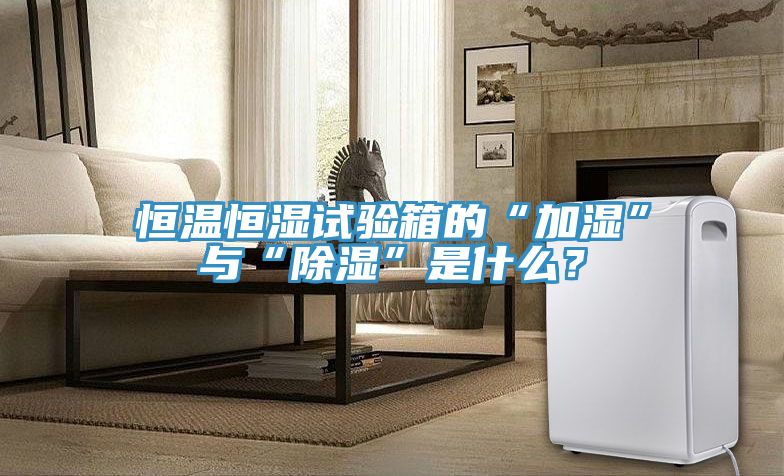 恒溫恒濕試驗(yàn)箱的“加濕”與“除濕”是什么？