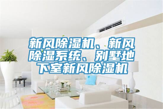 新風除濕機、新風除濕系統(tǒng)、別墅地下室新風除濕機