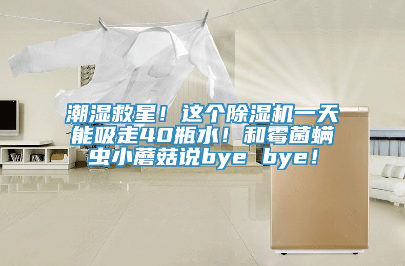 潮濕救星！這個除濕機一天能吸走40瓶水！和霉菌螨蟲小蘑菇說bye bye！