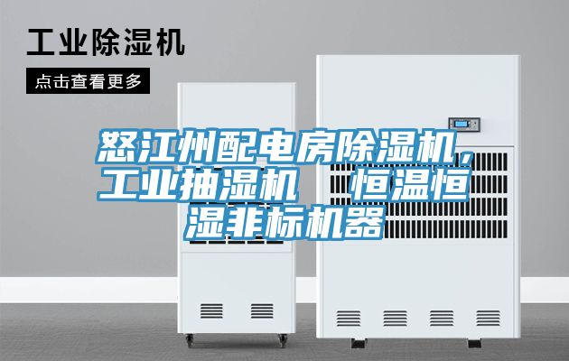 怒江州配電房除濕機，工業(yè)抽濕機  恒溫恒濕非標機器