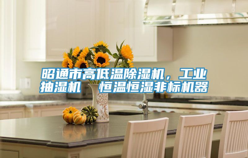 昭通市高低溫除濕機(jī)，工業(yè)抽濕機(jī)  恒溫恒濕非標(biāo)機(jī)器