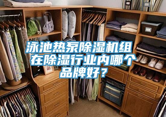 泳池熱泵除濕機組 在除濕行業(yè)內哪個品牌好？