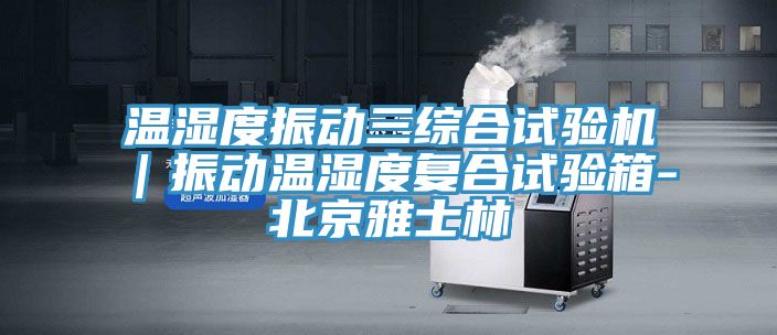 溫濕度振動三綜合試驗(yàn)機(jī)｜振動溫濕度復(fù)合試驗(yàn)箱-北京雅士林