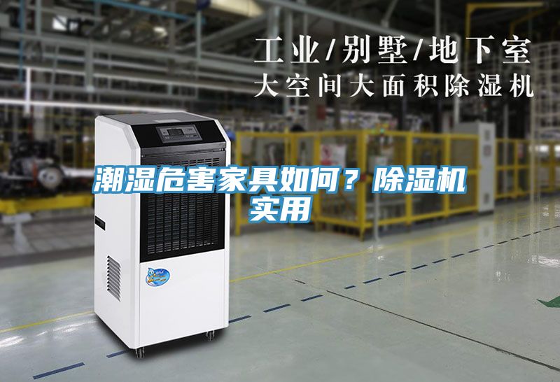 潮濕危害家具如何？除濕機實用