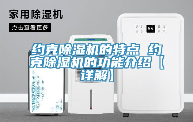 約克除濕機(jī)的特點 約克除濕機(jī)的功能介紹【詳解】