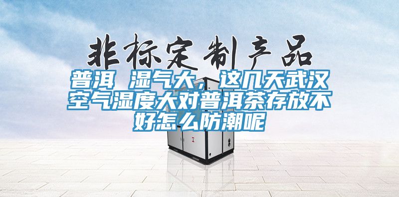 普洱 濕氣大，這幾天武漢空氣濕度大對(duì)普洱茶存放不好怎么防潮呢