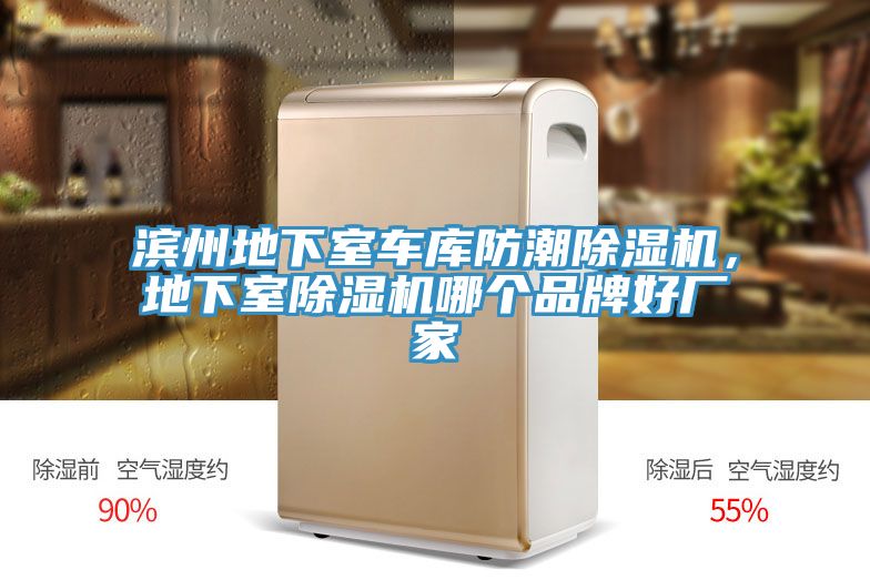 濱州地下室車庫防潮除濕機(jī)，地下室除濕機(jī)哪個(gè)品牌好廠家