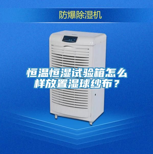 恒溫恒濕試驗箱怎么樣放置濕球紗布？