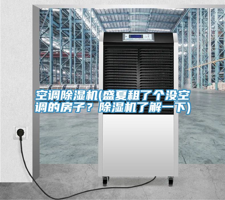 空調(diào)除濕機(jī)(盛夏租了個(gè)沒空調(diào)的房子？除濕機(jī)了解一下)